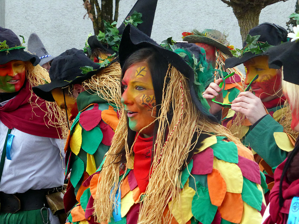 Altastadtr Faschingsomzug
