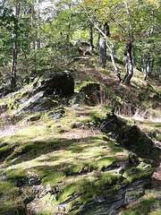 Felsen am Hain, richtig urig