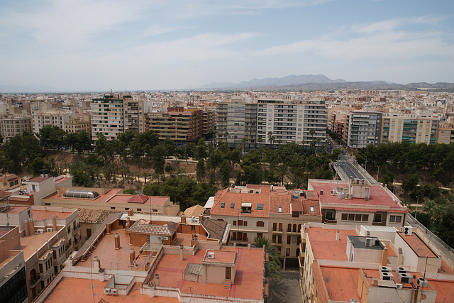 View Over Elche