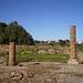 Remains of the Roman Forum.
