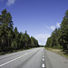 unterwegs auf der Strasse No. 374 in Norrbottens län - der nördlichsten Provinz von Schweden (© Buelipix)