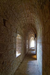 Château du Coudray-Salbart (8)