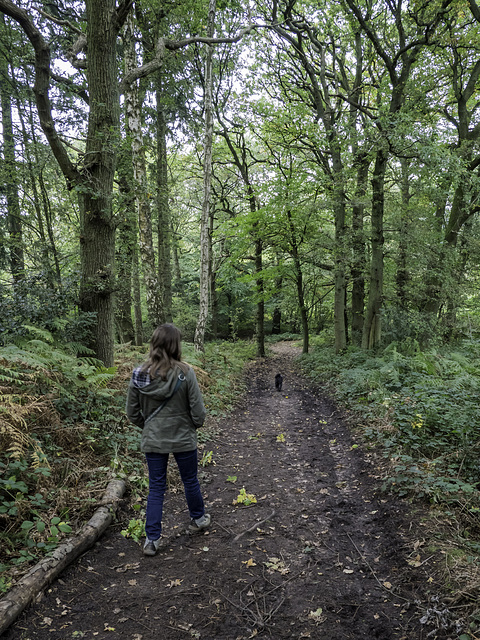 Phoebe walking the dog