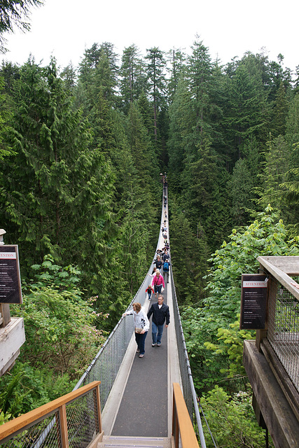 Capilano Suspension Bridge