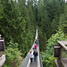 Capilano Suspension Bridge