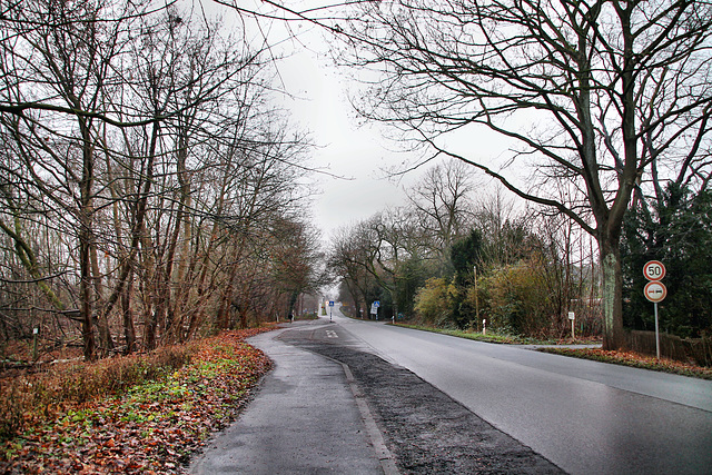 Wanner Straße (Recklinghausen-Hochlarmark) / 11.12.2021