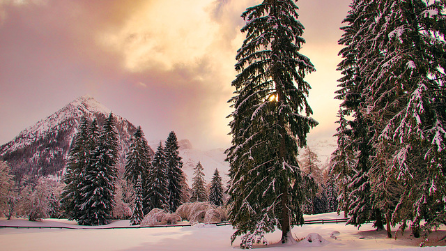 Tiroler Winterruhe