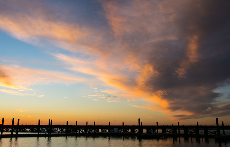 Golden cloud, Neuse River