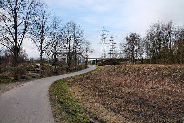 Weg auf der "Emscherinsel" (Essen-Karnap) / 2.03.2024