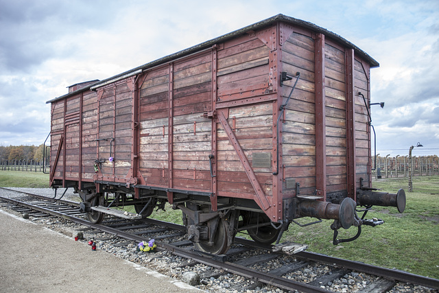 Auschwitz Birkenau-07