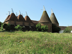 sissinghurst castle, kent   (55)six c18 and two c19 oast houses on the estate farm