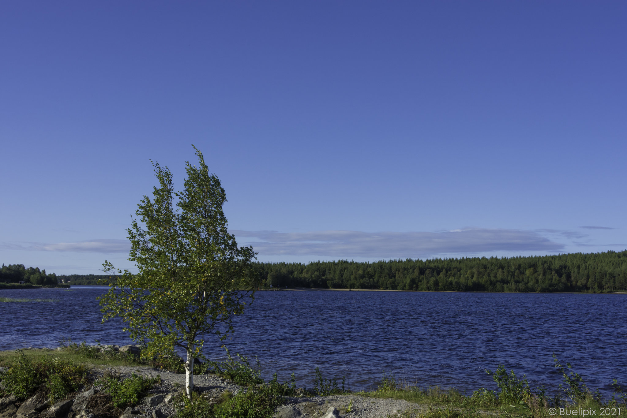 am Yttre Fjärden bei Piteå (© Buelipix)