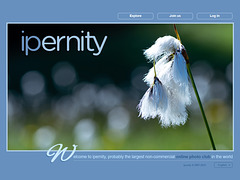 ipernity homepage with #1491