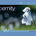 ipernity homepage with #1491
