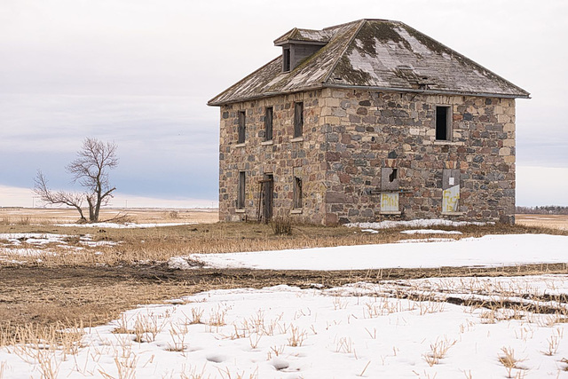 fieldstone and bare tree