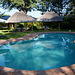 Zimbabwe, Reflection in the Water of the Pool at Pioneers Lodge