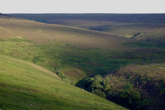 Span Moor from the Snake Pass