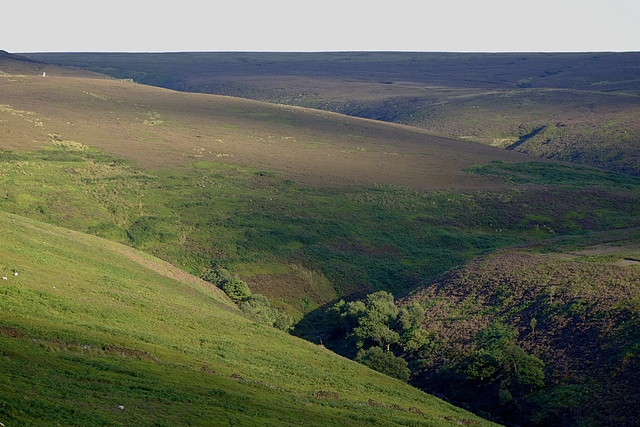 Span Moor from the Snake Pass