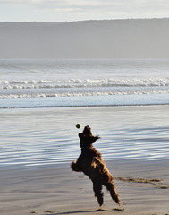 autumn at the beach