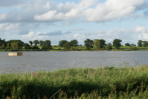 Hardley Flood