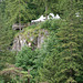 Capilano Cliff Walk