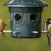 Nuthatch and great tit