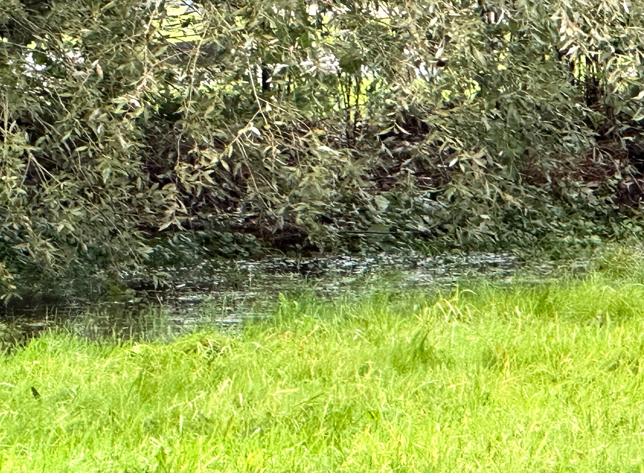 Regen ununterbrochen
