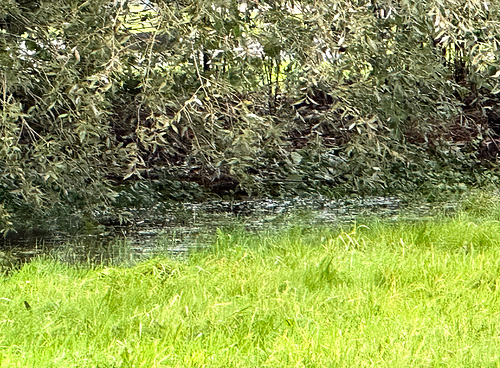 Regen ununterbrochen