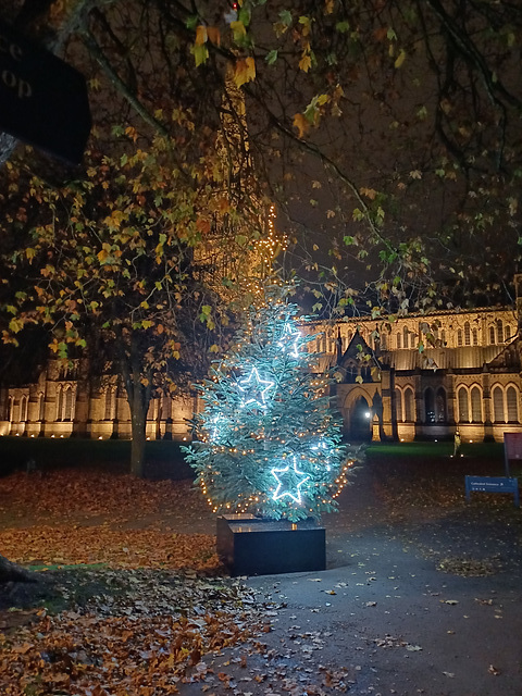 Salisbury Cathedral and a Christmas tree