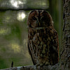 20240825_Aschersleben Tierpark (Nikon D800+Nikon D2x)