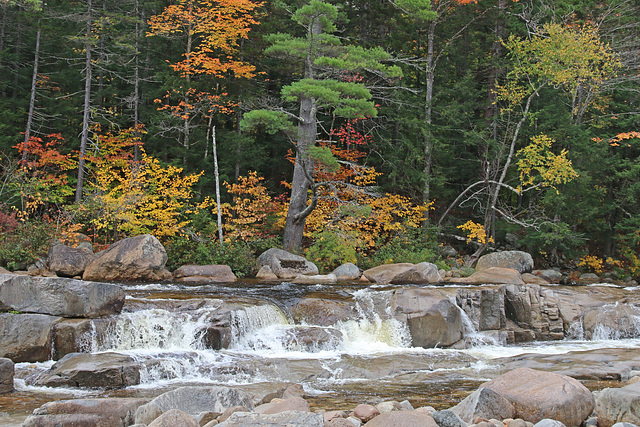 The Swift River