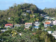 Castries- Hillside Houses