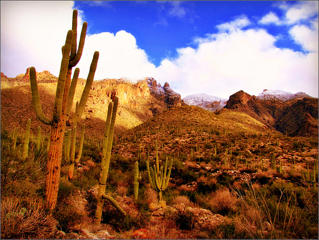 A Day in the Canyons