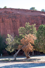New Mexico landscape51jpg