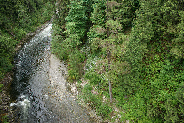 Capilano River