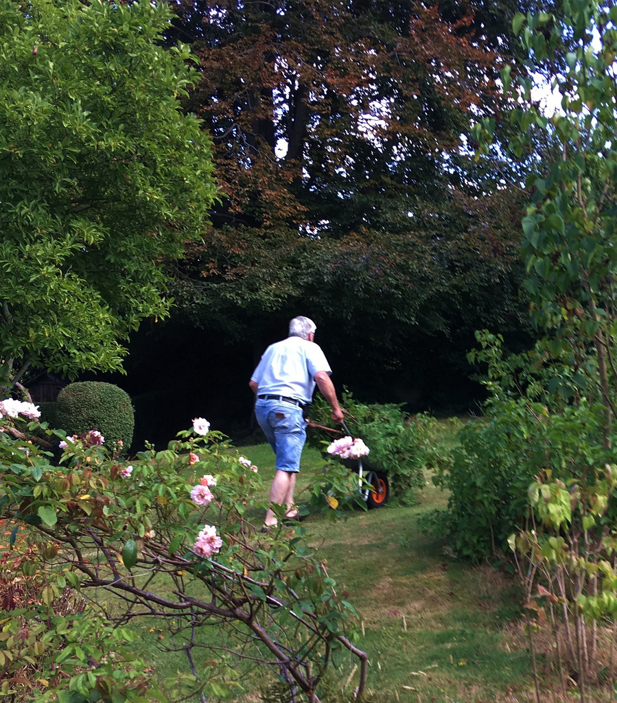 Travail au jardin