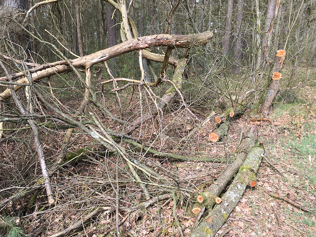 Ergebnis von Aufräumarbeiten?