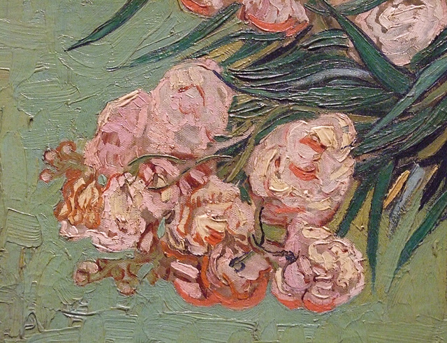 Detail of Oleanders by Van Gogh in the Metropolitan Museum of Art, May 2011