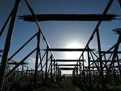 Codfish driers at Lundgard, Spengerleira bay