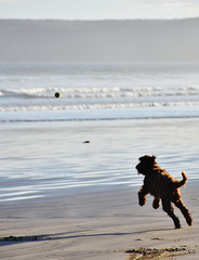 autumn at the beach