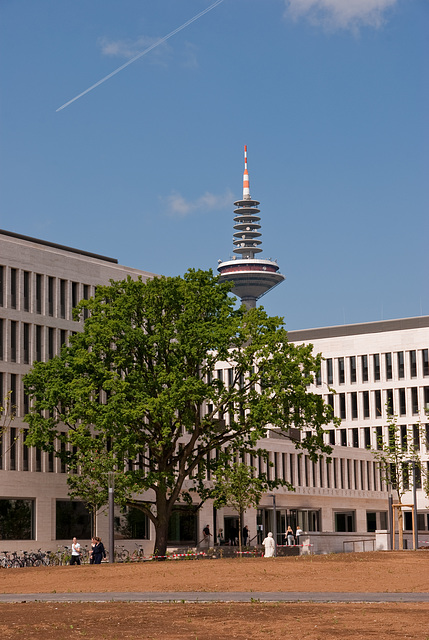 Johann Wolfgang Goethe-Universität in Frankfurt