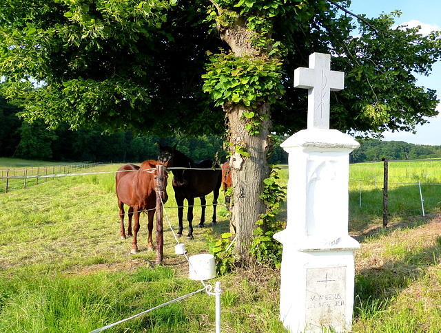 DE - Weilerswist - Idyllic rural scene