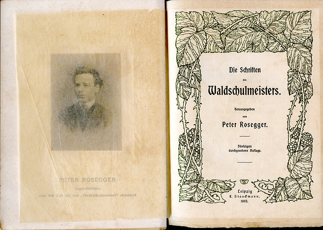 Peter Rosegger's Die Schriften  des Waldschulmeistes