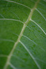 DSCF1412