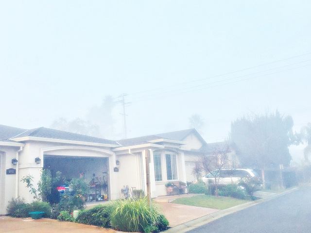 House on a foggy day