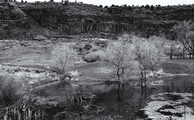 Pond at Roaring Springs