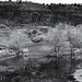 Pond at Roaring Springs