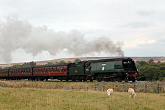Bulleid Battle of Britain class 34072 257 SQUADRON climbing past Moorgates with 2P09 13.50 Grosmont - Pickering NYMR 27th September 2025.