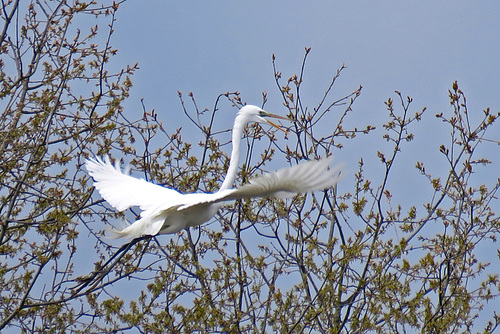 In Flight