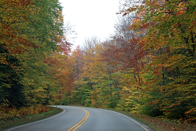 Bear Notch Road